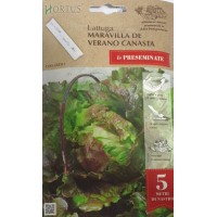 Семена на лента за Салата Маравиля де Верано Канаста / Maravilla de Verano Canasta