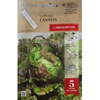 Семена на лента за Салата Канаста Canasta
