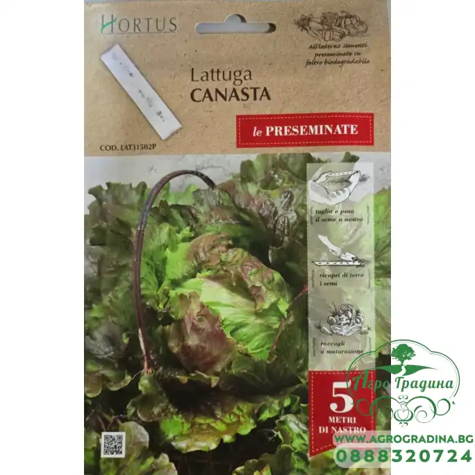 Семена на лента за Салата Канаста Canasta
