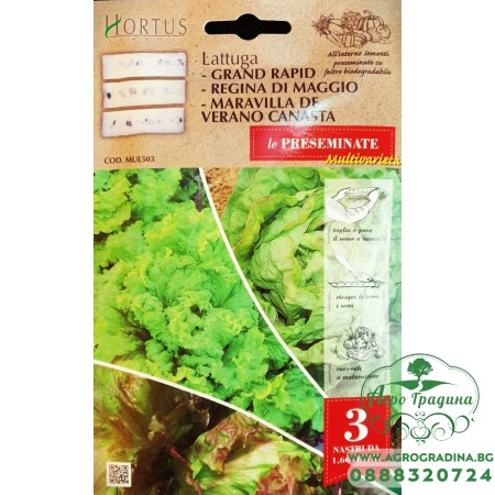 Семена на Лента Салата Микс (три вида) / Lattuga Multivarieta