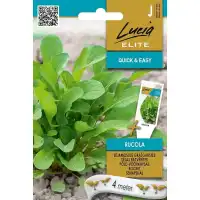 Семена на Лента Рукола 