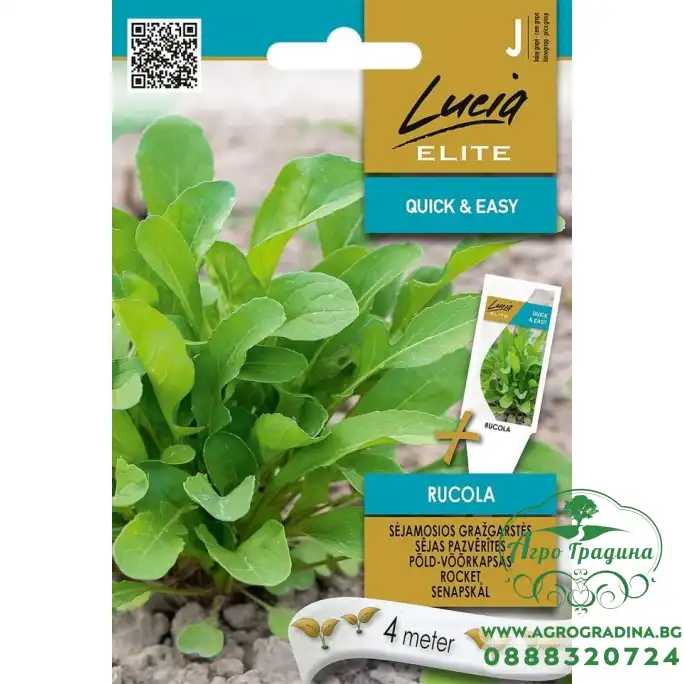 Семена на Лента Рукола Семена на Лента Рукола