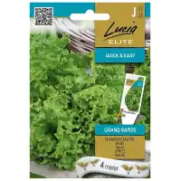 Семена на Лента Салата Гранд Рапидс / Grand Rapids