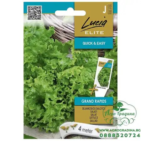 Семена на Лента Салата Гранд Рапидс Grand Rapids