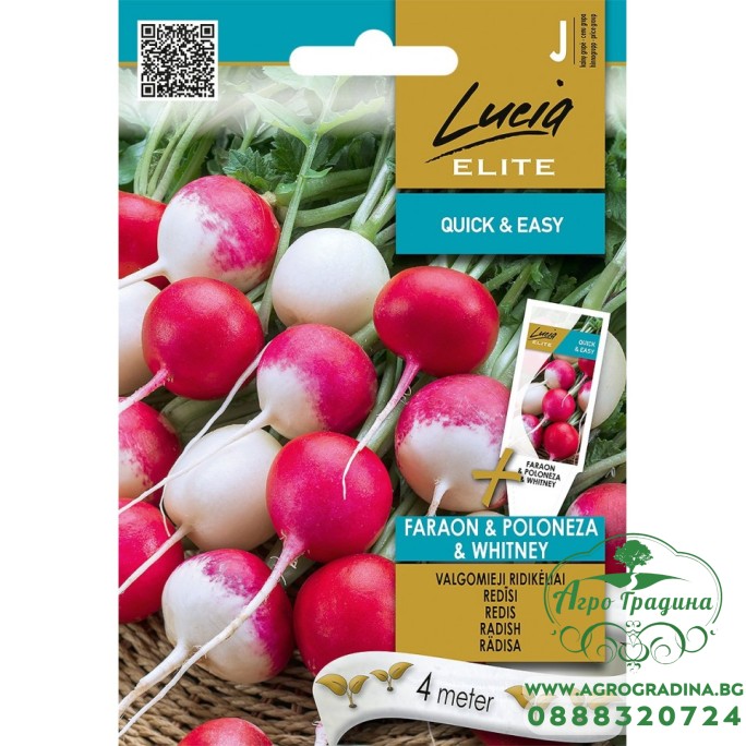 Семена на Лента Микс Репички Фараон-Полонеза-Уитни