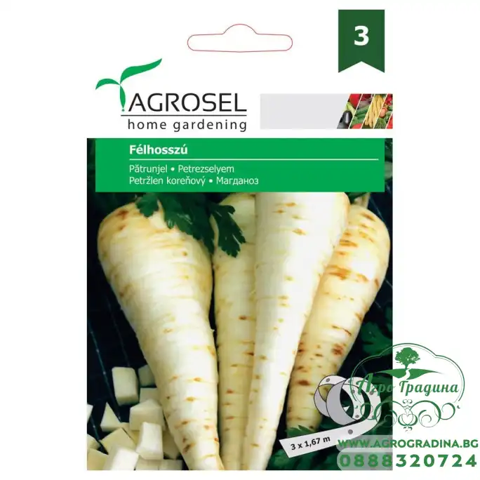 Семена на лента за Магданоз Коренов Felhosszu