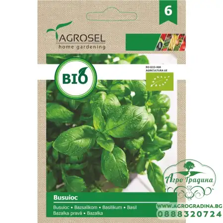 Био семена за Босилек