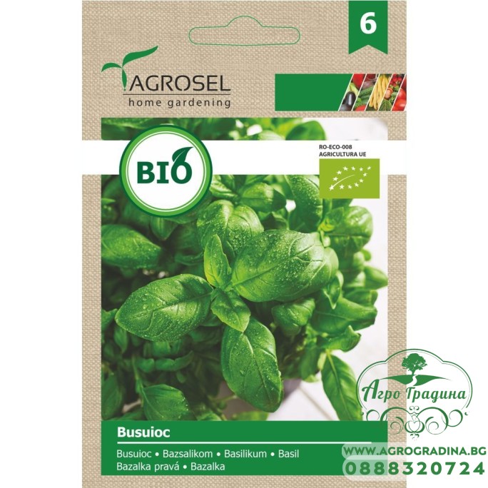 Био семена за Босилек