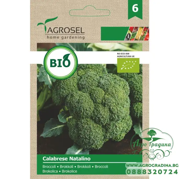 Био семена за Броколи Калабрезе Наталино
