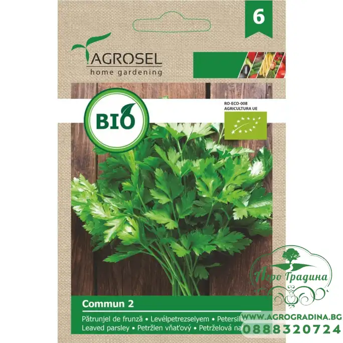 Био семена за Mагданоз Commun 2