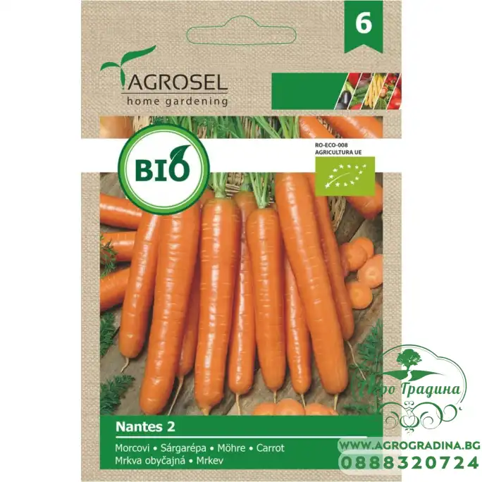 Био семена за моркови Нантес 2 Nantes 2