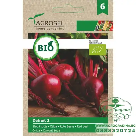 Био семена за салатно цвекло Детройт 2