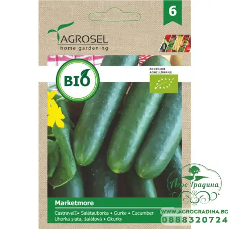 Био семена за краставици Маркетмор Marketmore