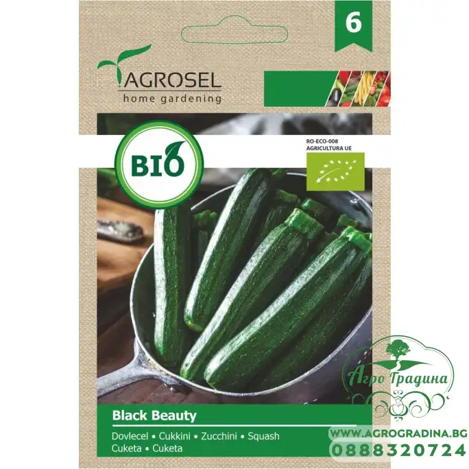 Био семена за тиквички Блек Бюти Black Beauty