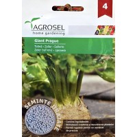 Семена ГРАНУЛА от Целина Гигант Прага / Giant Prague