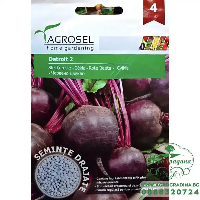 Семена ГРАНУЛА от Червено Цвекло Детройт 2 Detroit 2