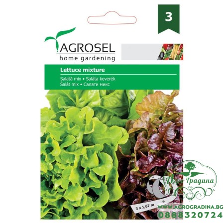 Семена на лента за Салати Микс / Lettuce Mixture