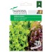 Семена на лента за Салати Микс Lettuce Mixture – Марули и салати
