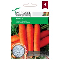 Семена ГРАНУЛА от Моркови Нантес 2 / Nantes 2