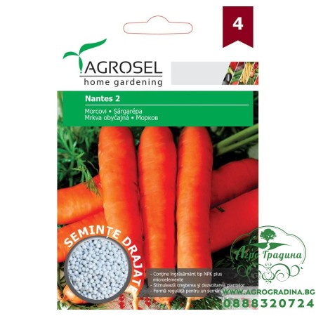 Семена ГРАНУЛА от Моркови Нантес 2 / Nantes 2