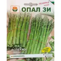 Аспержи (Asparagus officinalis) 