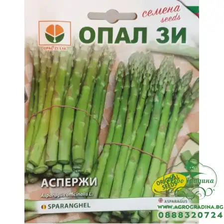 Аспержи (Asparagus officinalis)