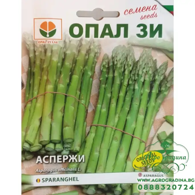 Аспержи (Asparagus officinalis)