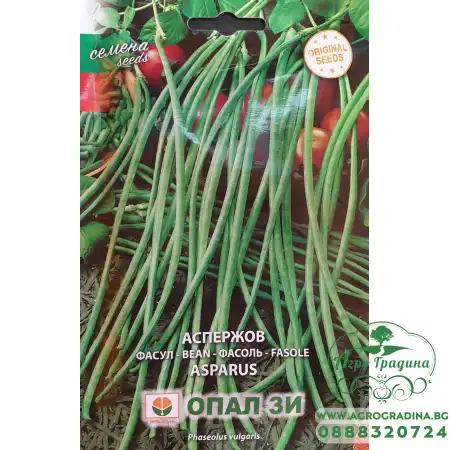 Аспержов фасул
