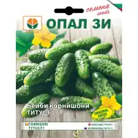 Бейби Корнишони Титус F1