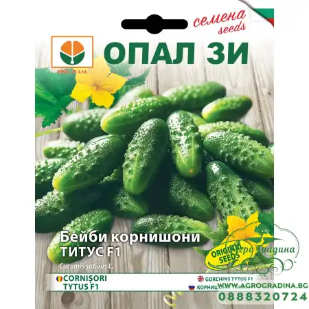 Бейби Корнишони Титус F1