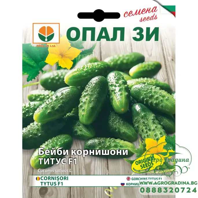 Бейби Корнишони Титус F1