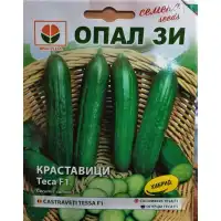 Краставици Теса F1 (средноплодни)