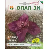 Лобода червена