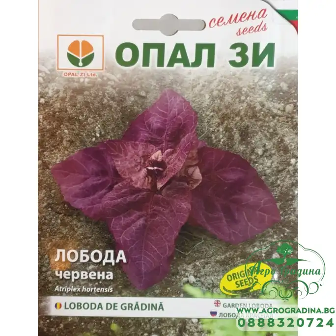 Лобода червена