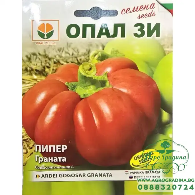 Пипер Граната (гигант) тип камба