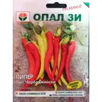 Пипер Лют Чорбаджийски