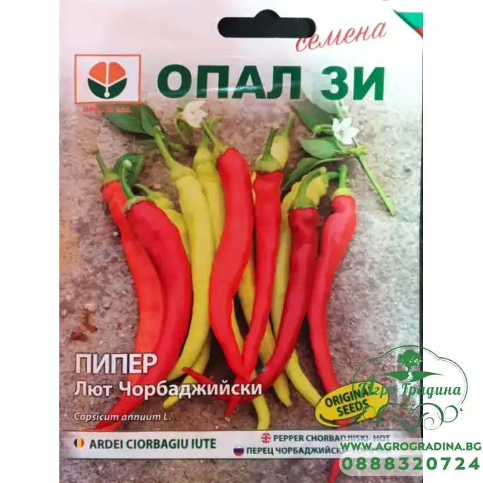 Пипер Лют Чорбаджийски