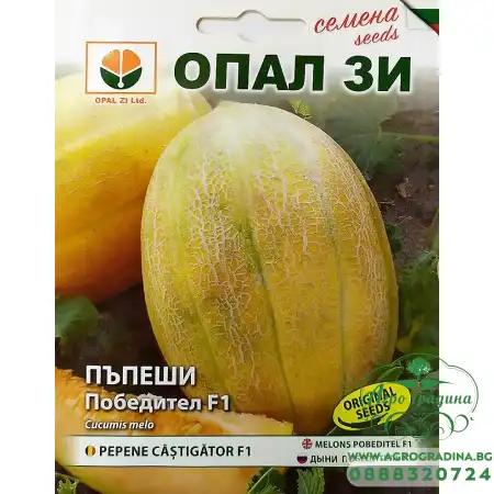 Пъпеш Победител F1