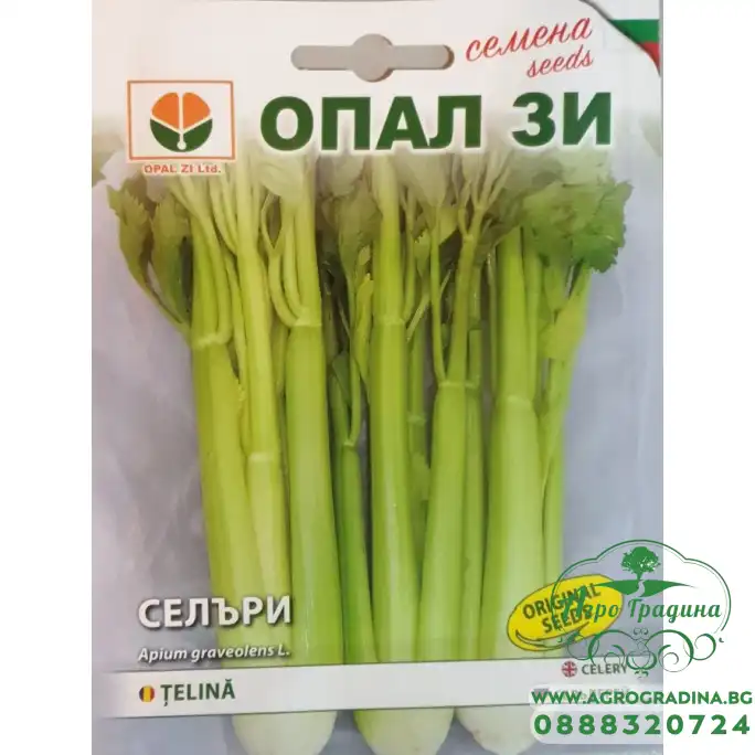 Селъри (Дръжкова Целина)