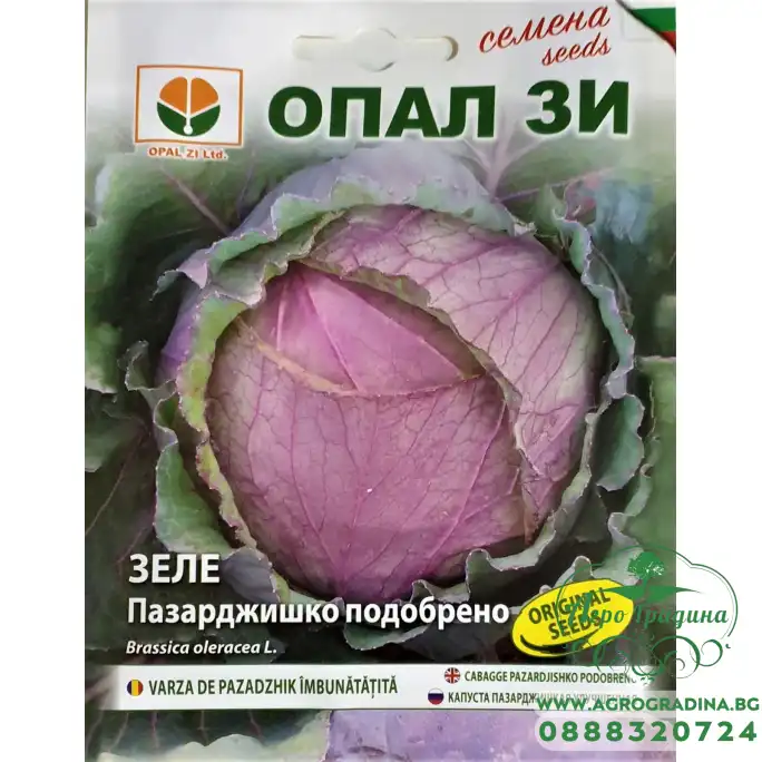 Зеле Пазарджишко Подобрено