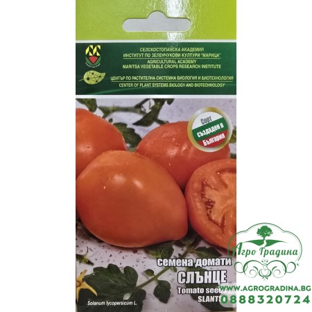 Домати Слънце - ИЗК Марица