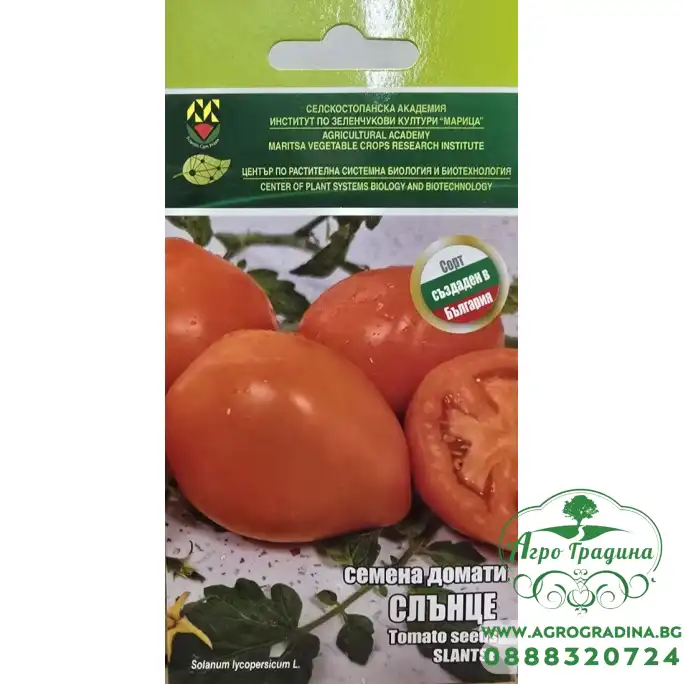 Домати Слънце - ИЗК Марица