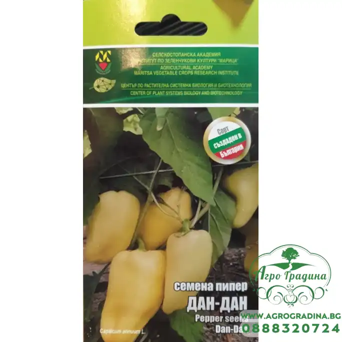 Пипер Дан-Дан ИЗК Марица