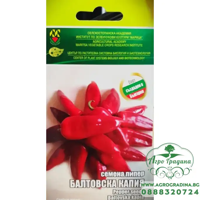 Пипер Балтовска капия ИЗК Марица