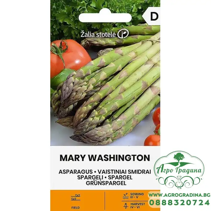 Аспержи Вашингтон Mary Washington