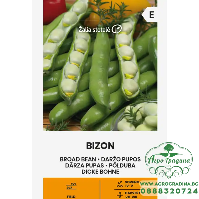 Бакла сорт Бизон Bizon