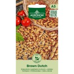 Фасул Кафяв Холандски Brown Dutch  (джудже за зрял)