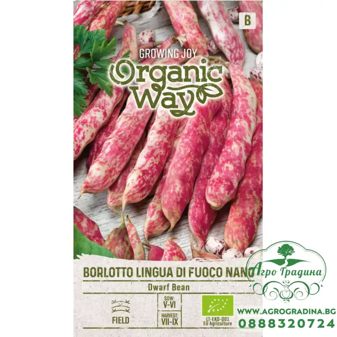 Органик Боб Борлото Borlotto lingua di fouco nano