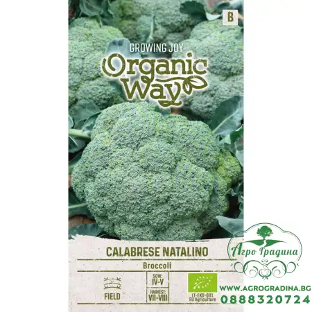 Органик Броколи Калабрезе Наталино Calabrese Natalino