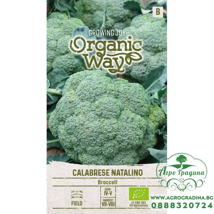 Органик Броколи Калабрезе Наталино Calabrese Natalino